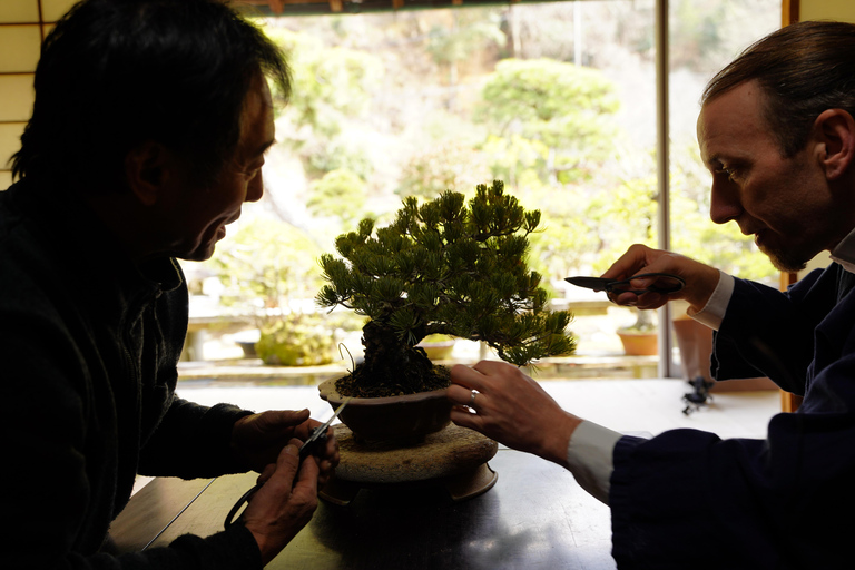 Hiroshima: Bonsai - A Gentle Journey into Nature’s Art