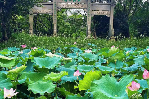 Hangzhou: Xixi National Wetland Park Entry Ticket & Cruise Xixi National Wetland Park Entry Ticket