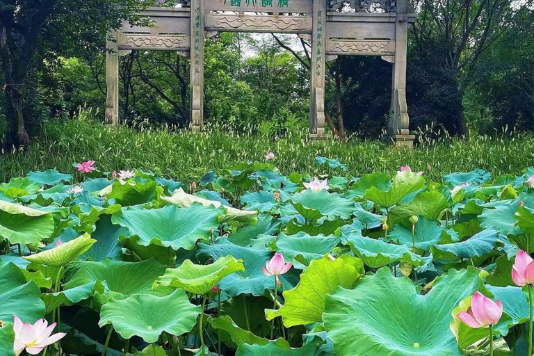 Hangzhou: Xixi National Wetland Park Entry Ticket & Cruise Xixi National Wetland Park Entry Ticket
