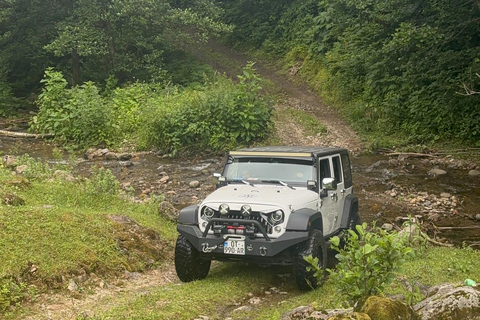 Tour de día completo por el monte desde Batumi