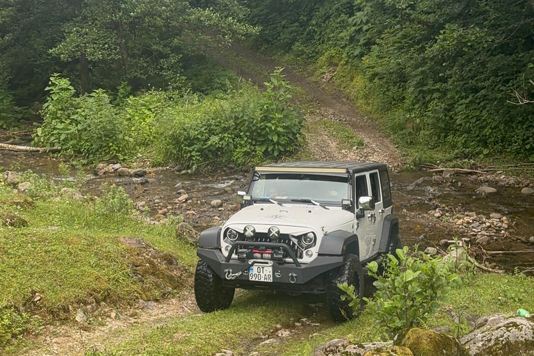 Dagvullende tours in de bergen vanuit Batumi