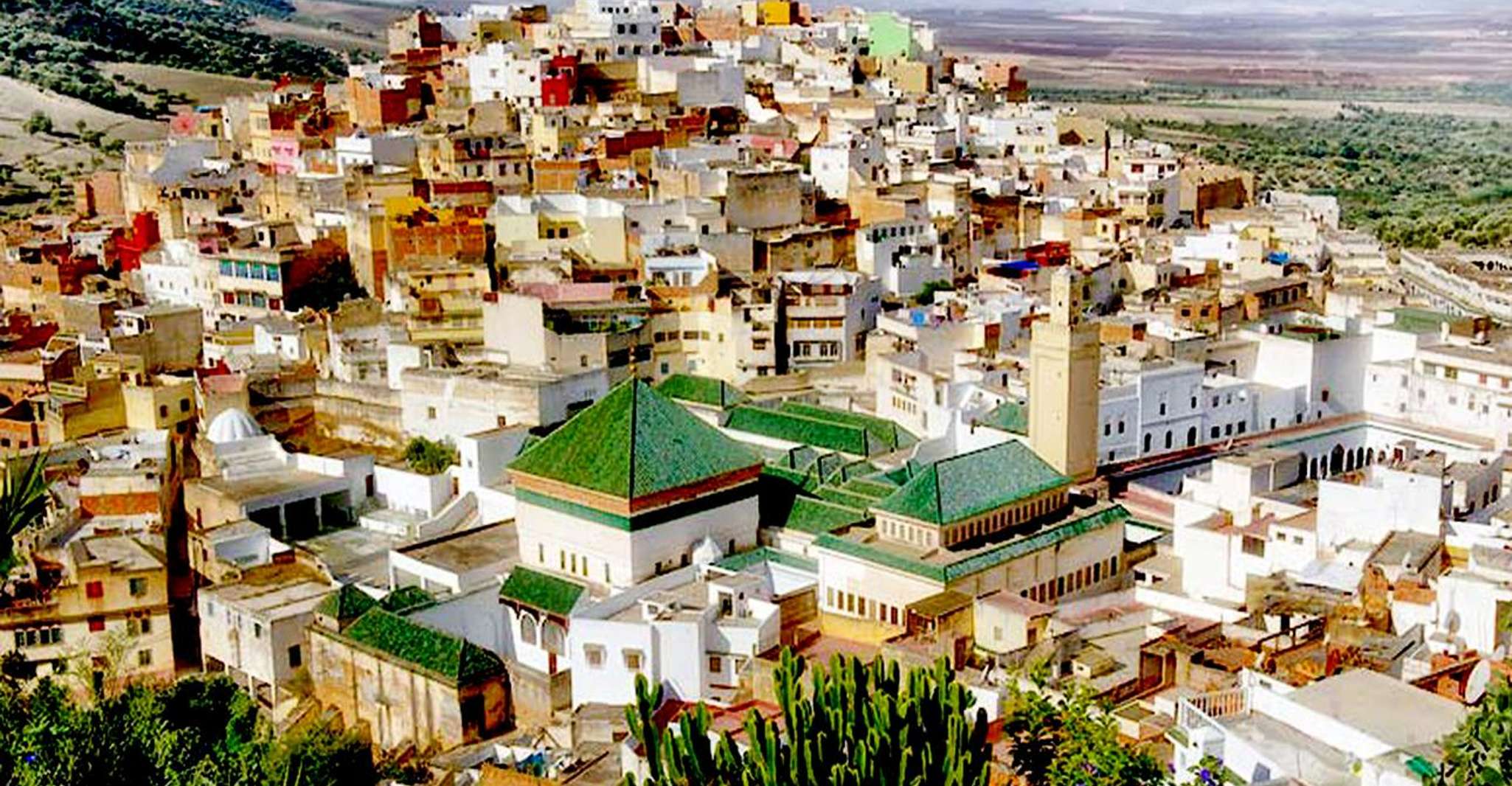 Fes, Full-Day Trip to Volubilis, Moulay Idriss, and Meknes - Housity