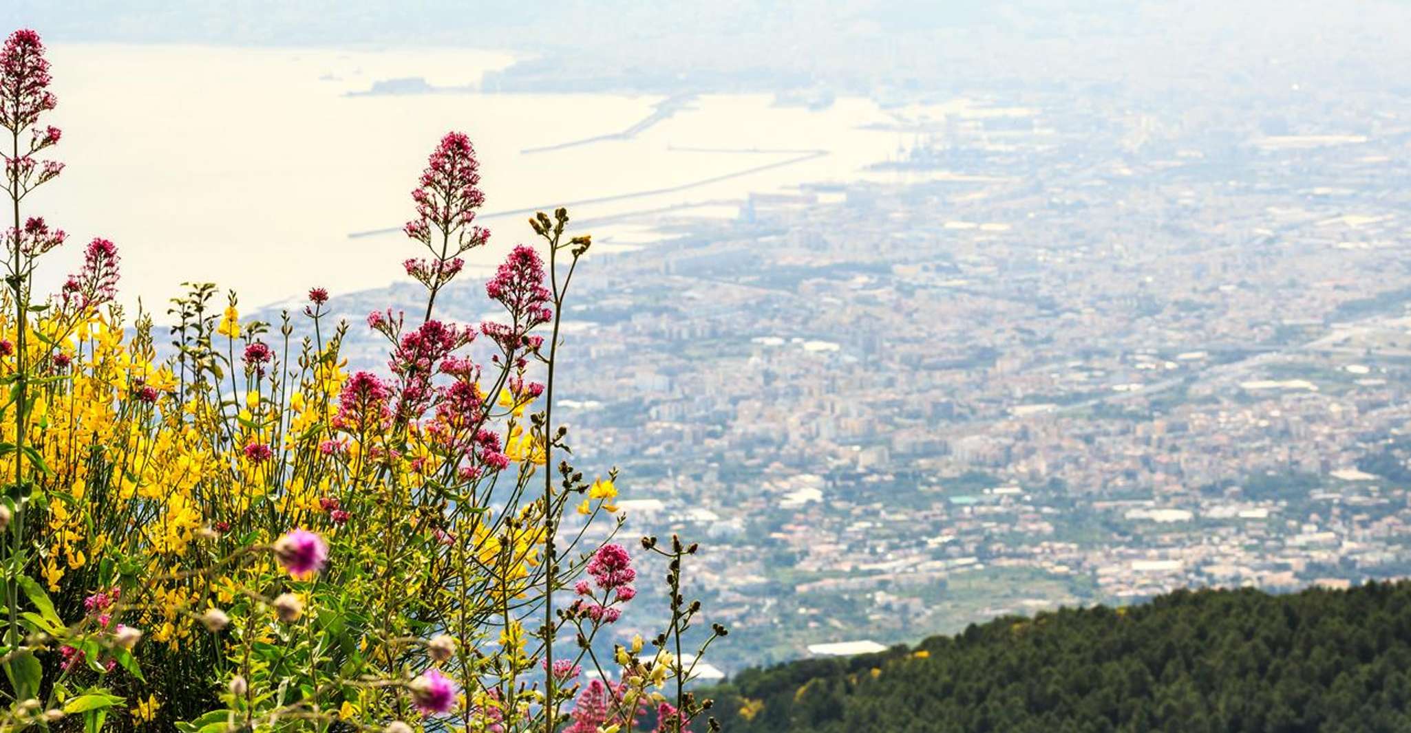 From Naples, Mount Vesuvius Transfer with Entry Tickets - Housity