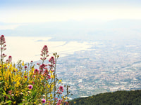 From Naples, Mount Vesuvius Transfer with Entry Tickets - Housity