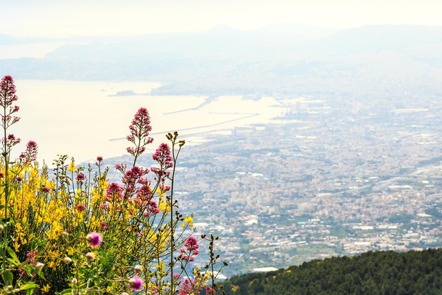 Mount Vesuvius Transfer with Entry Tickets