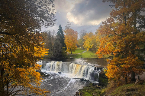 Arvo Pärt Experience: Centre Visit, Sea Cliffs & Waterfall