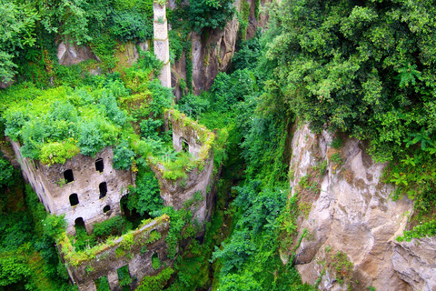 Tour Sorrento con Degustación de Limoncello