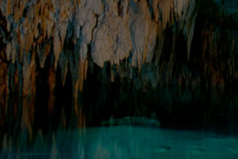 Tulum: Half-Day Jungle ATV Adventure Tour