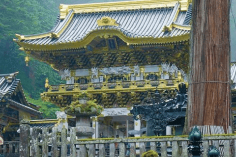 Tokio: Nikko, Patrimonio Mundial de la Unesco Tour privado ineludible