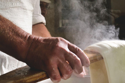 Florence: Mozzarella Making Workshop with Wine Tasting Tour in Italian