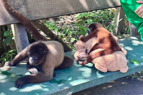 Combo: Iquitos Sightseeing Tour and Monkey Island in 2 Days Combo: Iquitos City Sightseeing Tour and Monkey Island in 2 Days