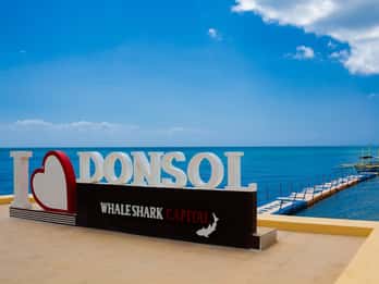 Whale Shark Interaction at Donsol Sorsogon by ZCHEDULISTA