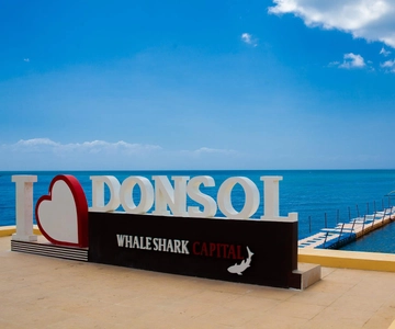 Whale Shark Interaction at Donsol Sorsogon by ZCHEDULISTA