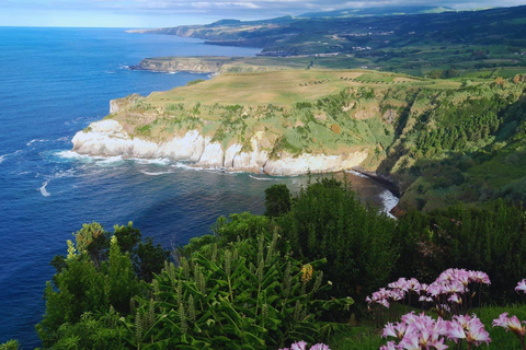 São Miguel: Excursão de 1 dia ao icônico Vulcão das Furnas e ao Nordeste