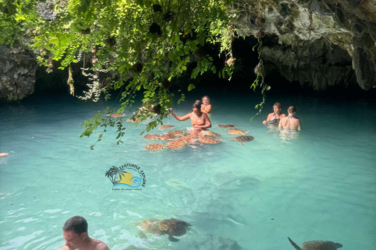 Zanzibar: Swim with Sea Turtles at Salaam Cave with Transfer Hotel Transfer Anywhere in Zanzibar