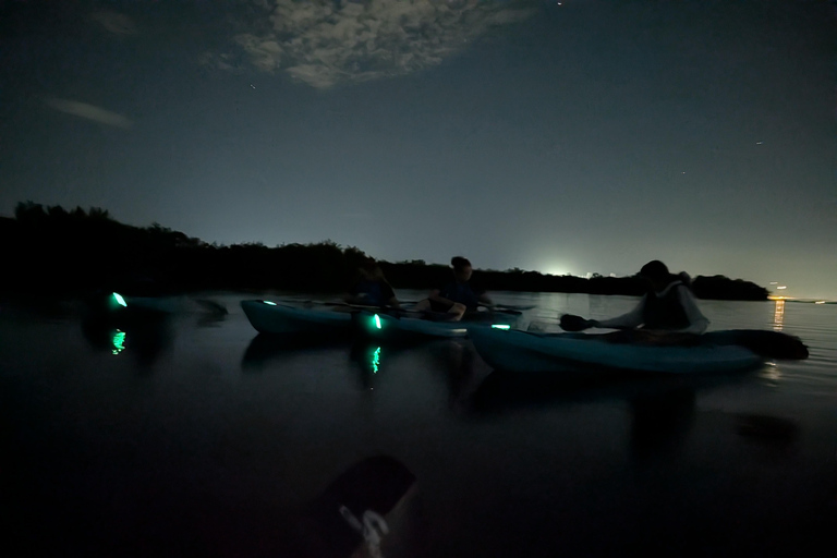 Cocoa Beach/Merritt Island:Bioluminescent kayak tour Single Kayak