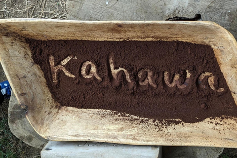 From Arusha: Coffee Farm and Mangalia Waterfalls Tour