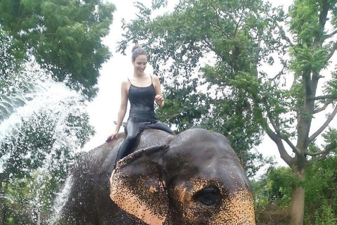 Jaipur: Hathigao Elephant Village Ride, Feeding, & Photos Riding, Feeding, Climbing And Photography with Elephant