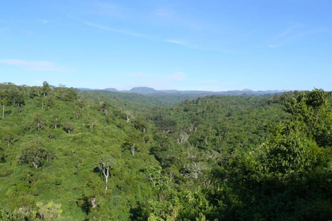 Von Nairobi: 2-tägige Aberdare-Nationalpark-Safari