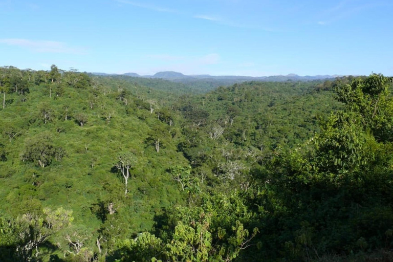 Von Nairobi: 2-tägige Aberdare-Nationalpark-Safari