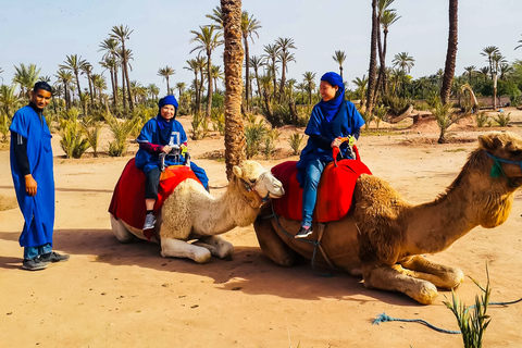 Marrakech : balade en chameau à la palmeraieMarrakech : balade en chameau de 3 h à la palmeraie