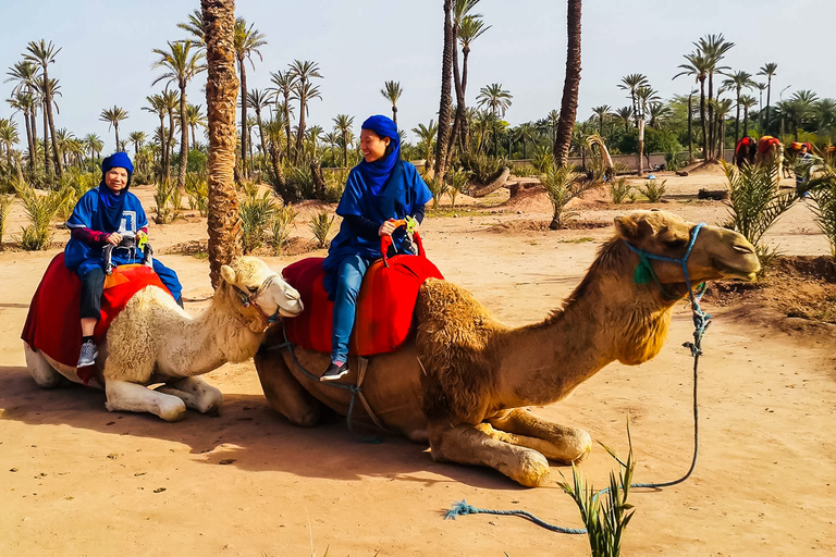 Marrakech : balade en chameau à la palmeraieMarrakech : balade en chameau de 3 h à la palmeraie