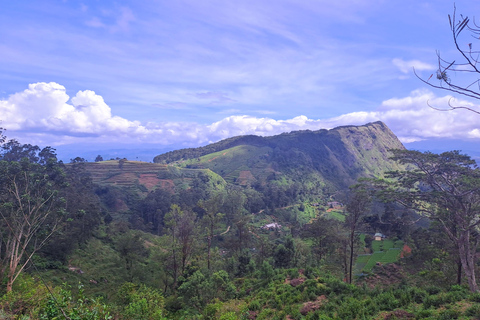 Pacchetto turistico di 14 giorni in Sri LankaPacchetto tour di 14 giorni: copertura completa della parte migliore dello Sri Lanka