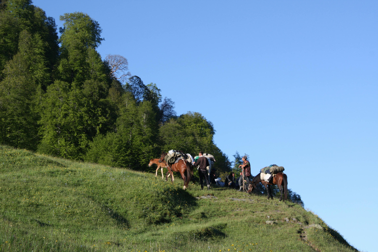 Stepantsminda: Scenic Arsha Waterfall Horseback Adventure