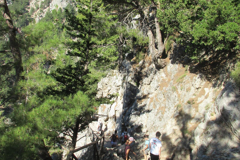 Ab Agia Pelagia, Iraklio & Malia: Samaria-Schlucht-TagestourAbholung in Iraklio und Ammoudara