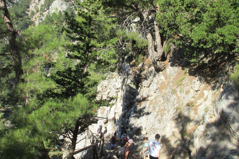 Ab Agia Pelagia, Iraklio & Malia: Samaria-Schlucht-TagestourAbholung in Iraklio und Ammoudara