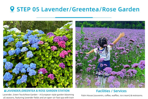 Corée, mont Hallasan, parc Echoland, train forestier et billet d&#039;entréeCorée, parc Echoland du mont Hallasan, train forestier et billet d&#039;entrée