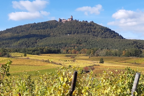Iconen Typische dorpjes en kasteel Haut Koenigsbourg