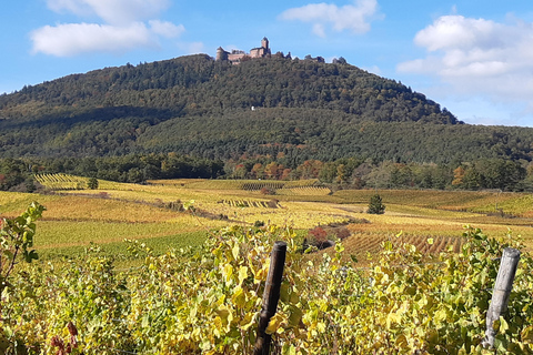 Ikony Typowe wioski i zamek Haut Koenigsbourg