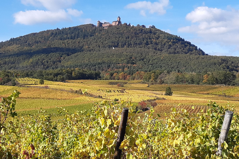 Ikoner Typiska byar &amp; Slottet Haut Koenigsbourg