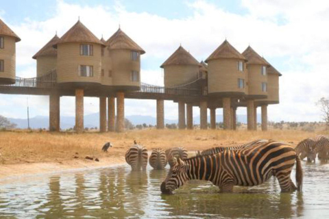 Mombasa: 2-Day Saltlick & Ngutuni Private Safari