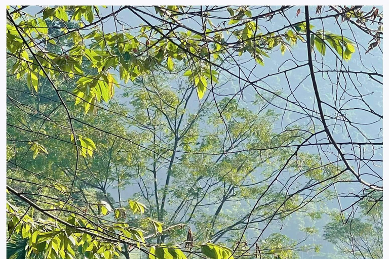 Tour della città di Da Nang: Son Tra, Passo di Hai Van, Ponte del DragoTour in auto privata