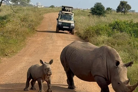 Nairobi: passeio de meio dia no Parque NacionalNairobi: tour privado de meio dia no Parque Nacional