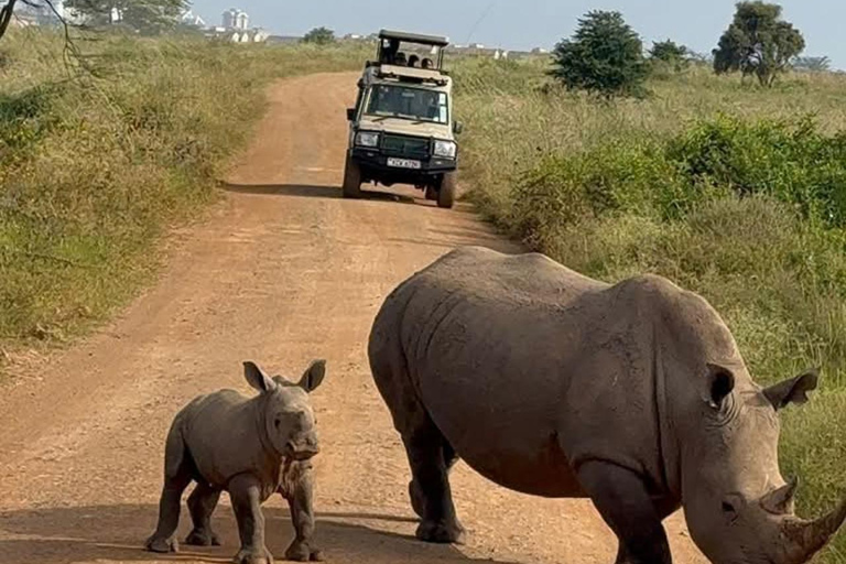 Nairobi: passeio de meio dia no Parque NacionalNairobi: tour privado de meio dia no Parque Nacional