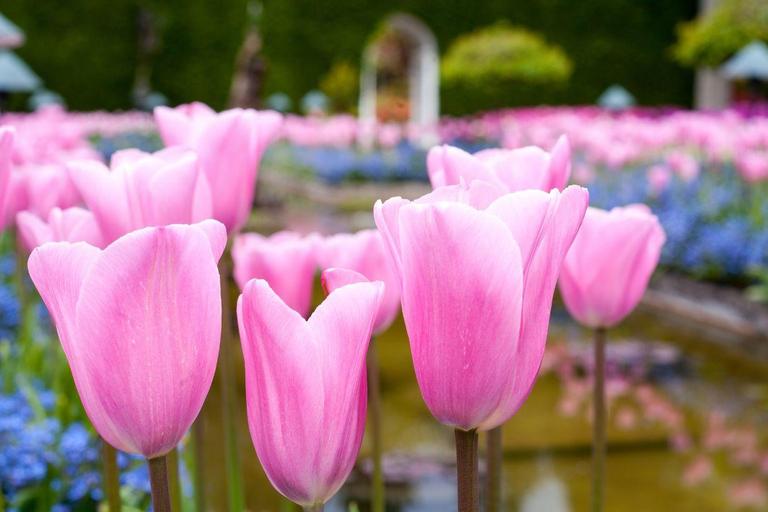 Excursion d&#039;une journée de Vancouver à Victoria et aux Butchart Gardens