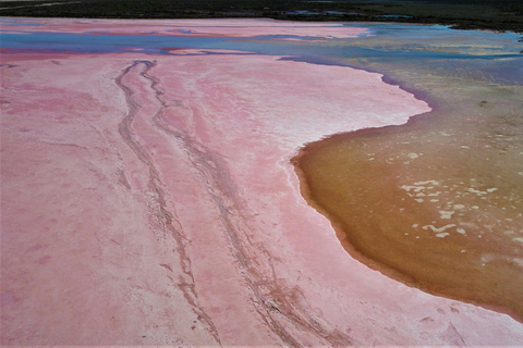 Au départ de Perth : Kalbarri--Pink Lake--Pinnacles 3 jours