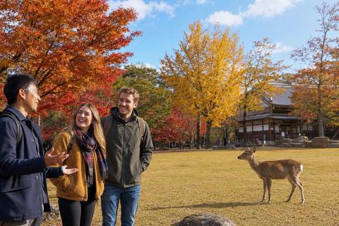 Nara: Autumn Colors, Deer & Historic Park Walk Early Bird 20% Off – Limited Autumn Offer