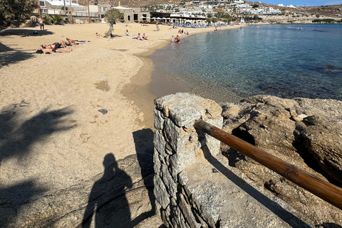 Mykonos: Private Tour by Luxury Van