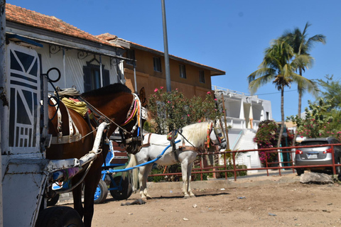 Dakar: 2-Day Gorée Island, Dakar, and Pink Lake Tour