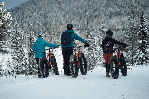 Levi, Lapland: E-Fatbike trip to white nature