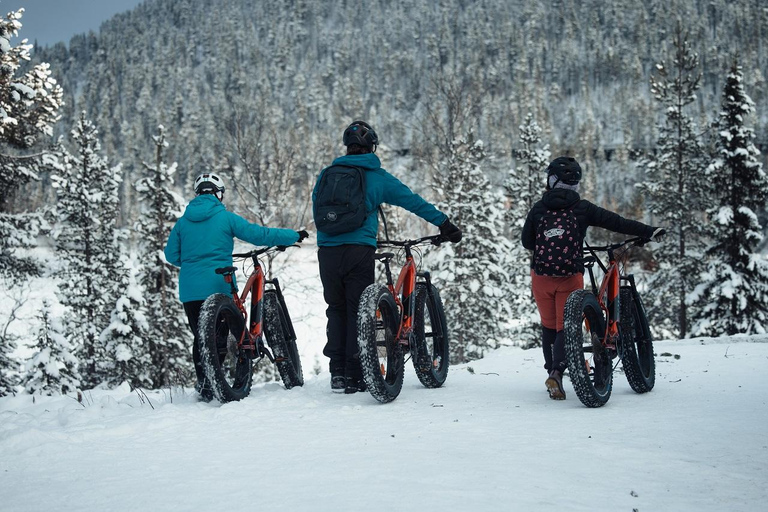 Levi, Lapland: E-Fatbike trip to white nature