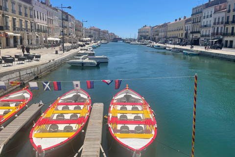 Montpellier : visite guidée de Sète avec dégustations et panoramasMontpellier : visite guidée de Sète avec dégustations et vues panoramiques