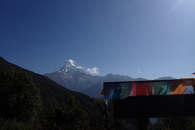 Pokhara : 5 jours de trek au camp de base du Mardi Himal avec transferts