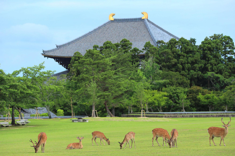 From Tokyo: Super Express One-Day Trip to Kyoto and Nara