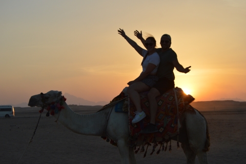 Hurghada: Paseo en quad, camello y caballo con barbacoa y observación de las estrellasVisita compartida