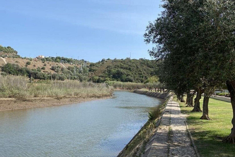 Vanuit Albufeira: Rondreis naar Lagos, Sagres, Silves &amp; Monchique